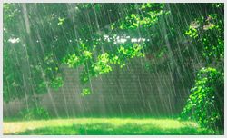 Weather Report